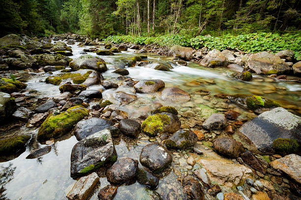 istock Beautiful Tatry mountains landscape 486691539
