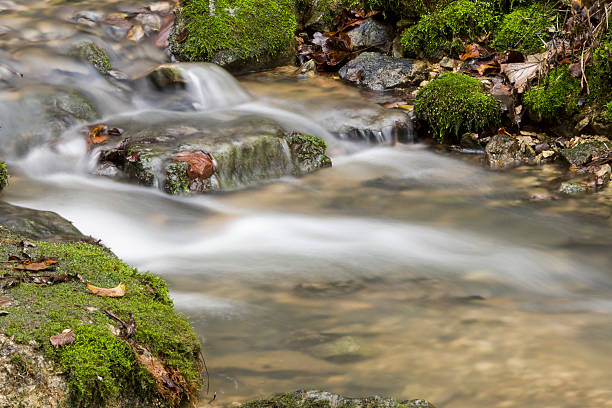 printemps à l'automne - river spring waterfall water photos et images de collection