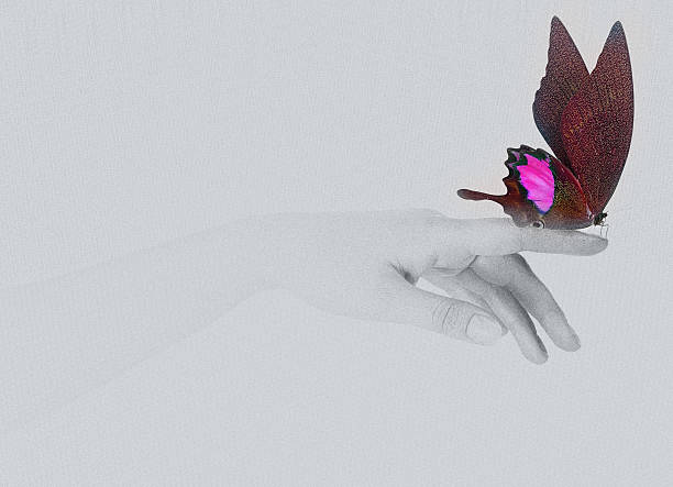 istock butterfly on woman's hand. In motion 486693575