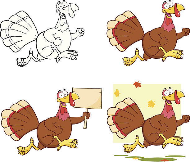 ilustrações, clipart, desenhos animados e ícones de coleção da turquia - 8 - turkey white background bird thanksgiving