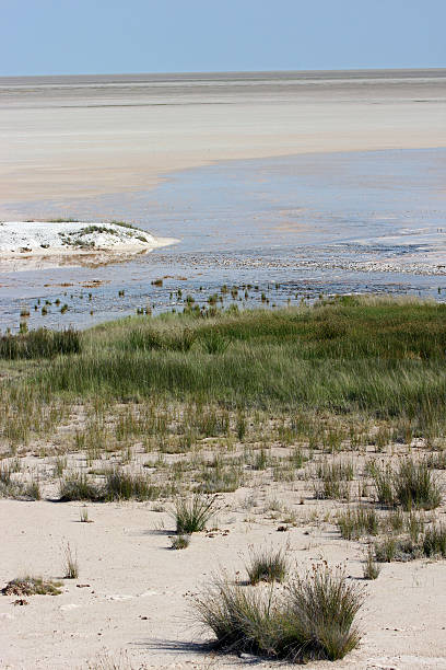 istock Namibia: The Pan at Etosha National Park 486694037
