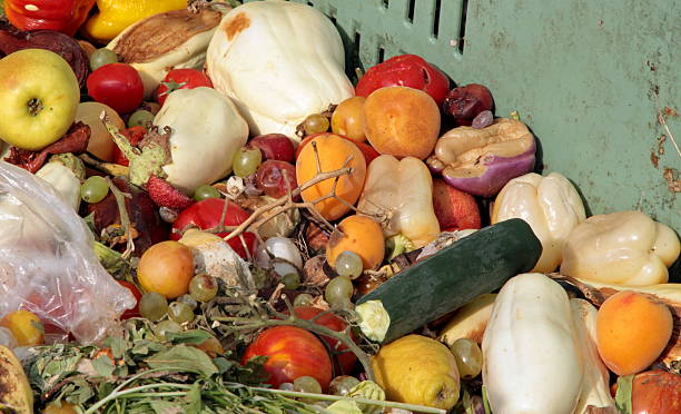 istock damaged fruits and vegetables to use as fertilizer 486696057