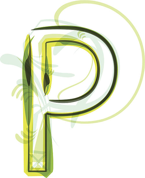 녹색 알파벳 - flower letter p alphabet alphabetical order stock illustrations