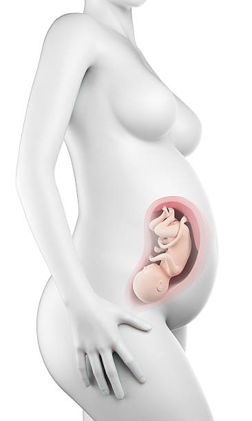 istock pregnant woman - week 32 486697072