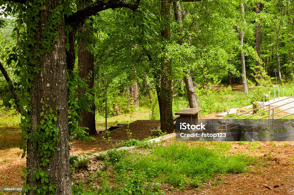 Wooded area of a park.  Picnic tables, forest. Spring trees. Beautiful wooded area of a park.  Many hardwood trees surround picnic tables in the forest.  Day Stock Photo