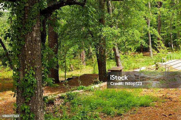 Wooded Area Of A Park Picnic Tables Forest Spring Trees Stock Photo - Download Image Now