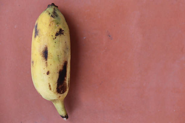 Fruits, A Black Rotten Wild Banana, Asian Banana