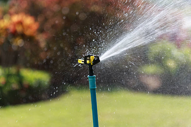 istock automatic water sprinkler in the garden 486699644