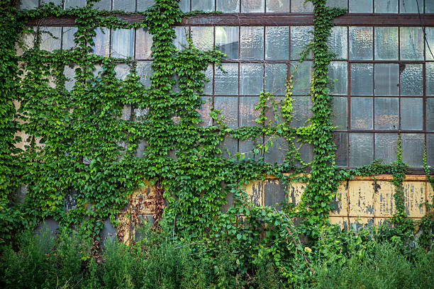 istock Abandoned Industrial Buildings 486700104