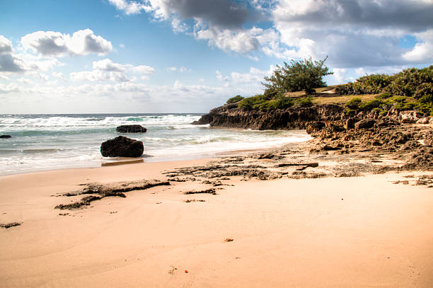 istock Beach with large rocks in Tofo 486703388