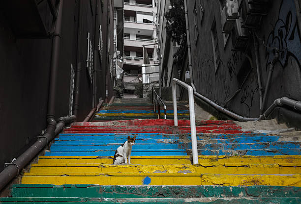 rainbow colored escaleras con cat - staircase steps istanbul turkey fotografías e imágenes de stock