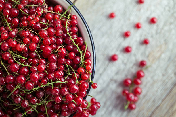 istock red currants in an enamel pot on wooden background 486705702