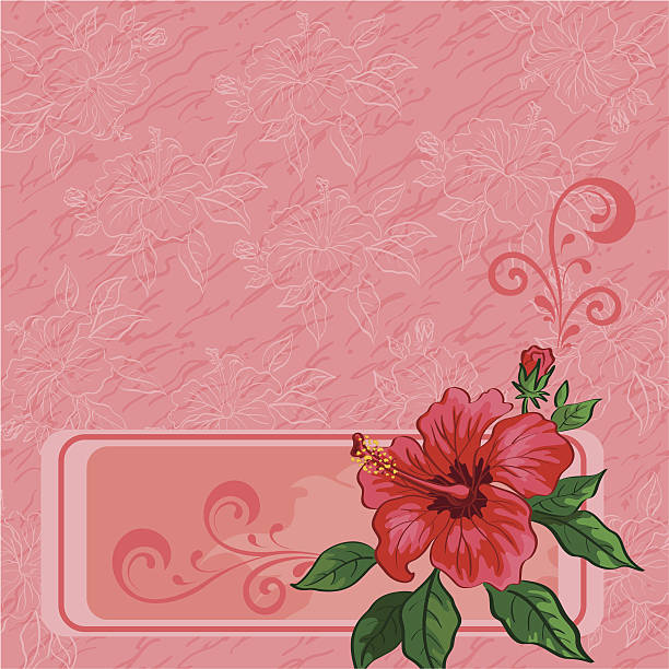 blumen hintergrund, hibiskus und konturen - blossom florescence flower wallpaper pattern stock-grafiken, -clipart, -cartoons und -symbole