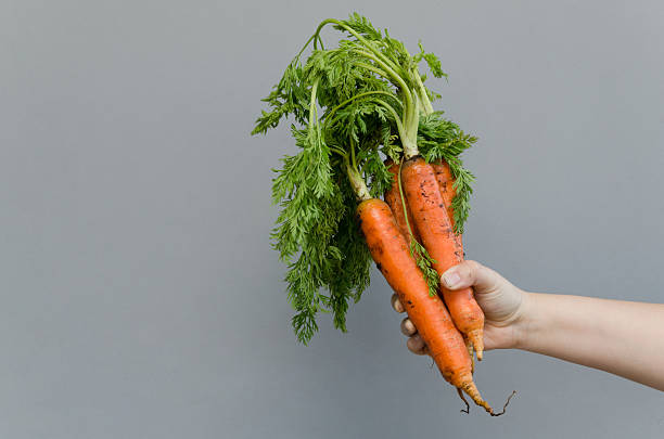 istock Hand holding organic fresh carrots 486708358