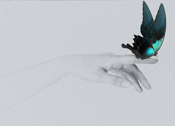 istock butterfly on woman's hand. In motion 486709045