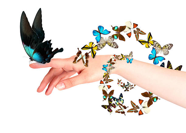 istock butterfly on woman's hand. In motion 486709077