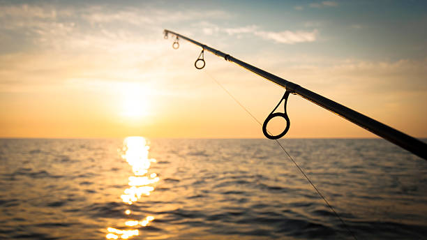 istock spinning rods in front of sea water 486709326