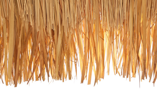 closeup of thatch roof isolated on white background