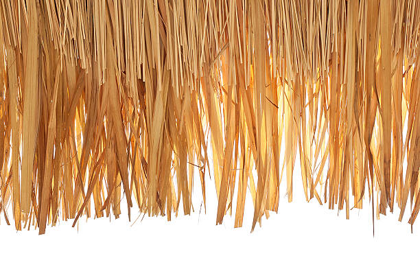 Thatch roof closeup of thatch roof isolated on white background straw roof stock pictures, royalty-free photos & images