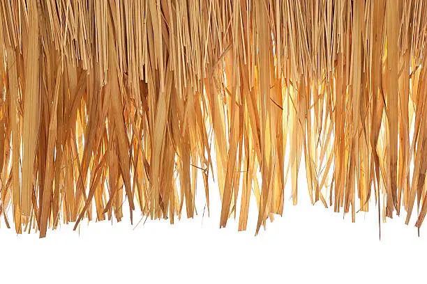 closeup of thatch roof isolated on white background