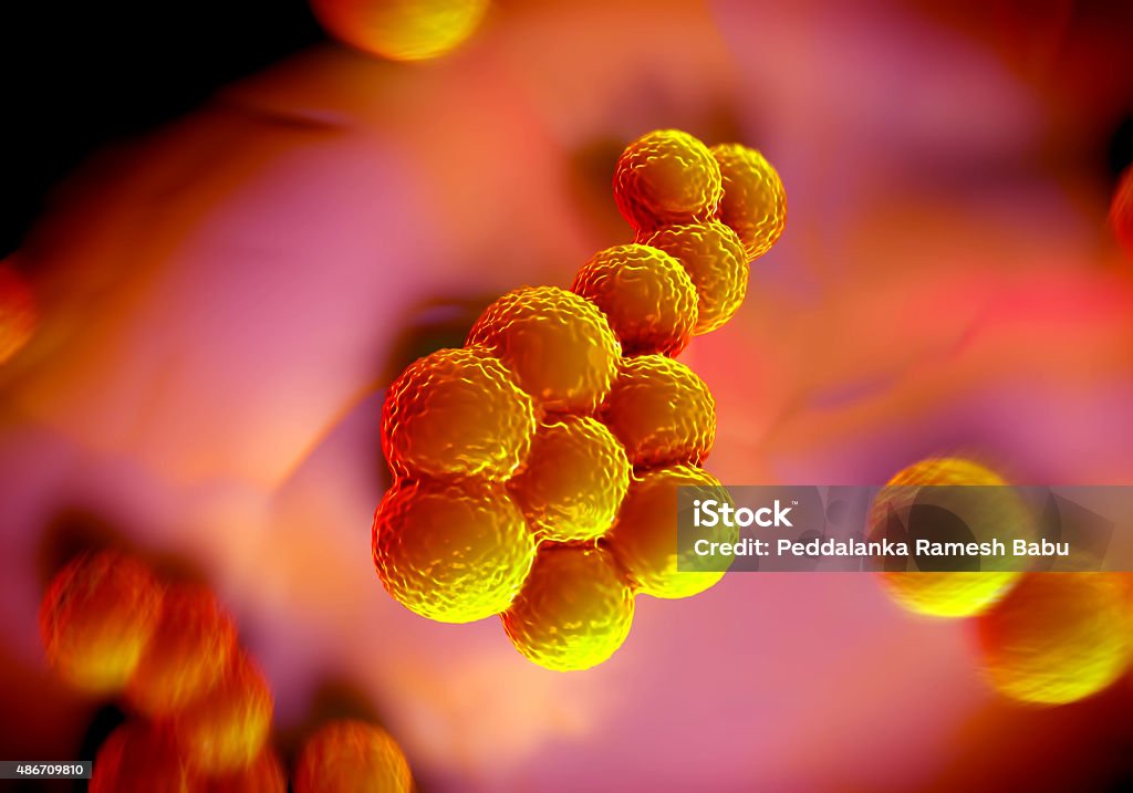 Staph Bug Superbug Bacteria Or Staphylococcus Aureus Bacteria Stock Photo ...