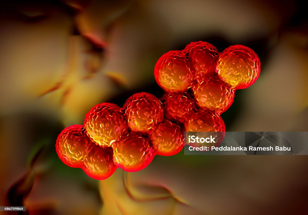 Staph Bug Bakteri Superbug Atau Bakteri Staphylococcus Aureus Foto Stok - Unduh ...