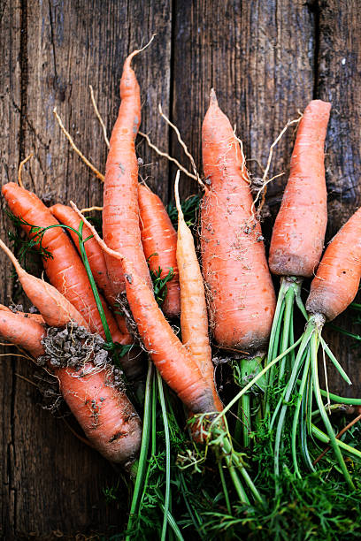 istock Bunch of fresh carrots with green leaves 486710648