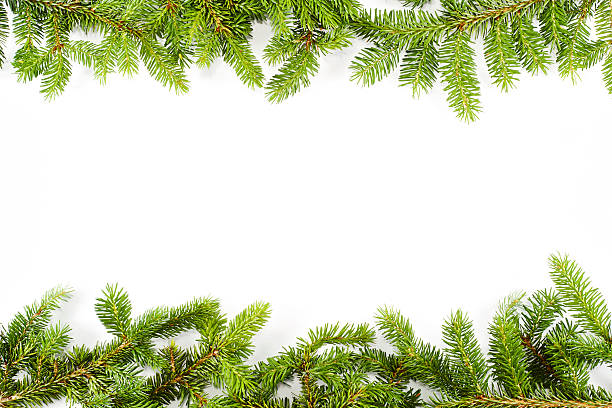 istock Decoration of a fir tree 486711250