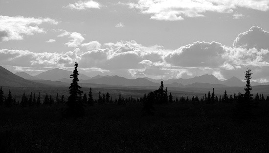This is an image of the Denali Foot Hills in Black and White