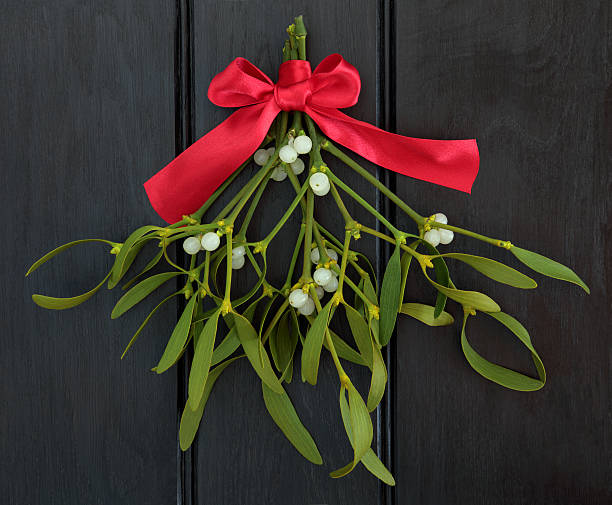 Mistletoe Kisses Christmas mistletoe with red ribbon bow over dark wood background. mistletoe stock pictures, royalty-free photos & images