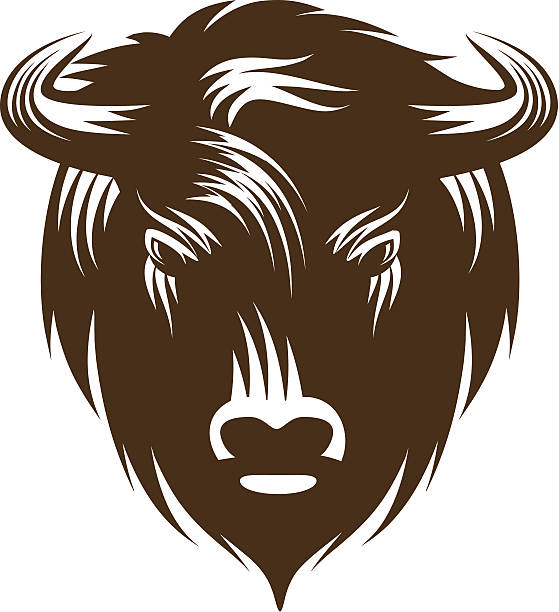 ilustrações de stock, clip art, desenhos animados e ícones de buffalo cabeça - bisonte