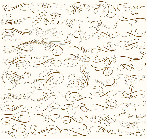 curls big set - decorative lines stock-grafiken, -clipart, -cartoons und -symbole