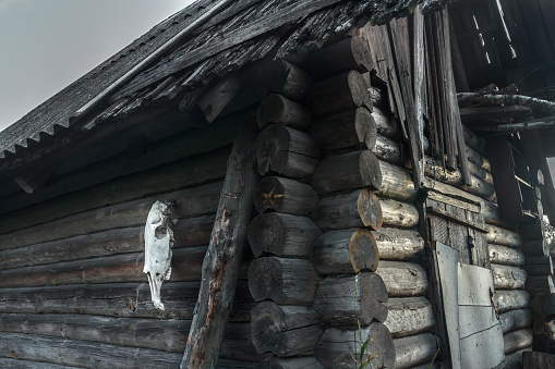 Registro de antigua casa embrujada con caballo skull on gray pared photo