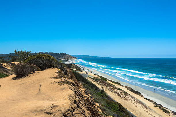 istock The coast along Torrey Pines, South California 486713850