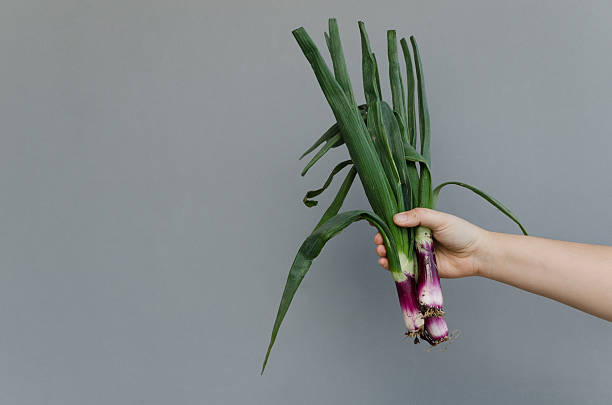 istock Hand holding organic fresh scallions 486715156