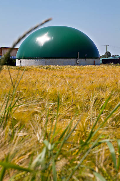 istock Bio gas plant in a corn field 486715400