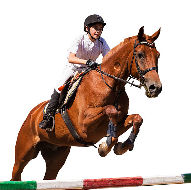 istock Girl on  horse 486717930