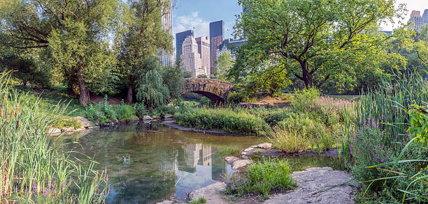 istock Gapstow bridge Central Park, New York City 486720998