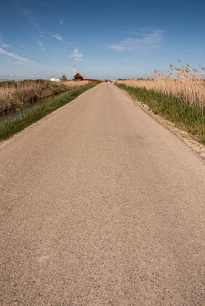 istock asphalt road through the green field. 486724847