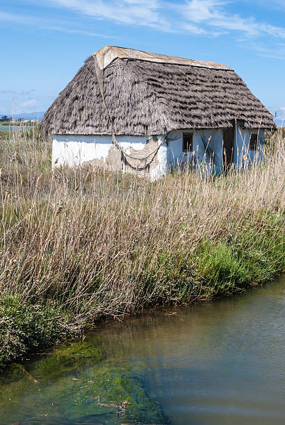 istock Rustic old traditional house in Ebro Delta, Spain 486724851