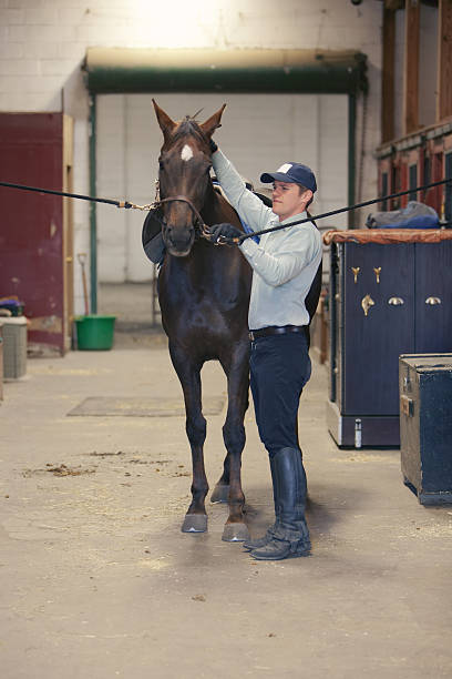 istock At the Horse Stable 486724857