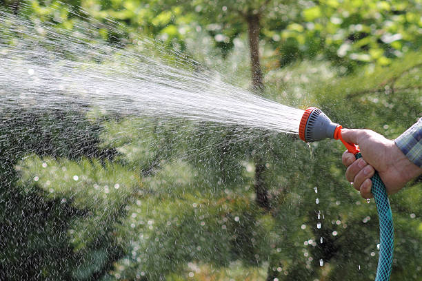 istock man watering the garden 486724888
