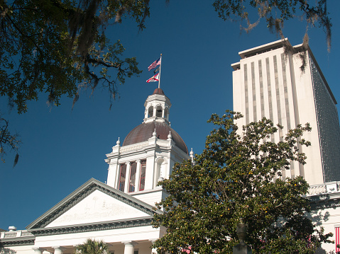 The old and new Florida Capitol Buildings. The flags are blowing in the breeze. The building is seen from the east, under the live oaks with spanish moss. 