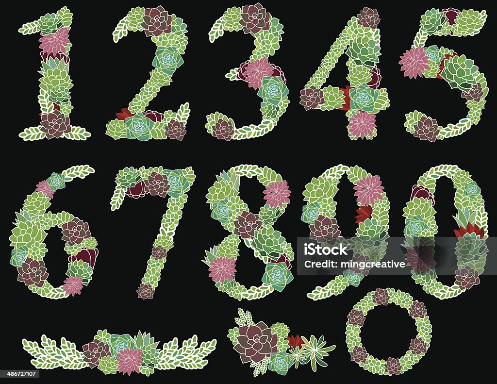 Numbers one to zero Succulent garden Flower stock vector