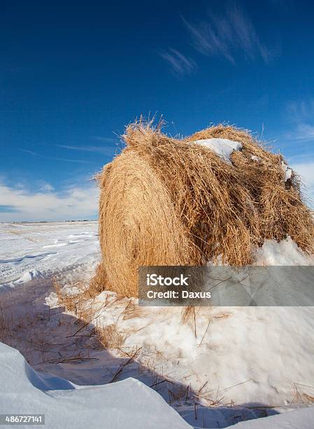 Straw Round Bale Stock Photo - Download Image Now - Agricultural Field, Agriculture, Bale
