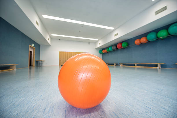 istock Swiss Ball at the gym 486727397