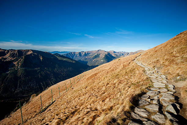 istock Beautiful Tatra mountains landscape Red Wierchy 486727615