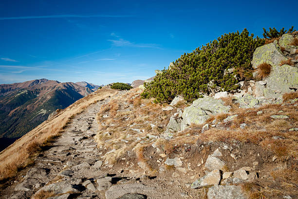 istock Beautiful Tatra mountains landscape Red Wierchy 486727639