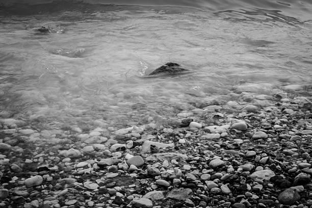Stony beach being washed by the mild ocean.