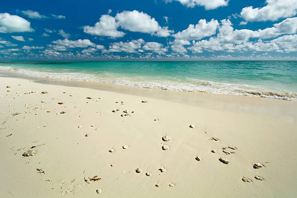 Freeport beach on Grand Bahama Island
